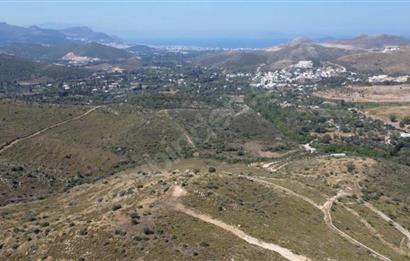 Bodrum Gümüşlük Dereköy'de Satılık Kooperatif Hissesi