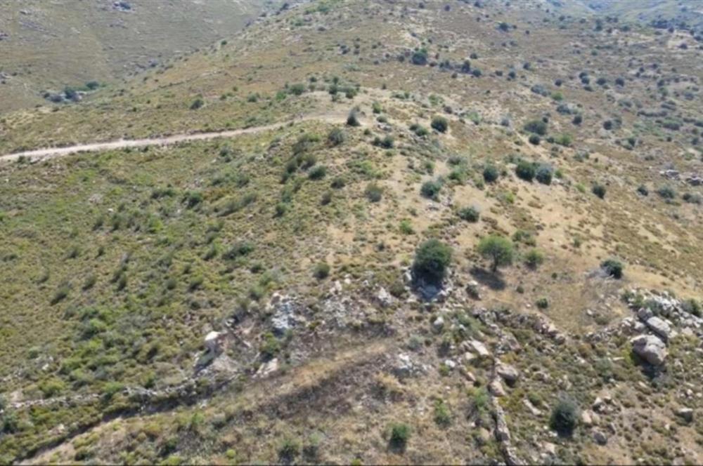 Bodrum Gümüşlük Dereköy'de Satılık Kooperatif Hissesi