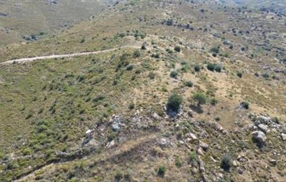 Bodrum Gümüşlük Dereköy'de Satılık Kooperatif Hissesi