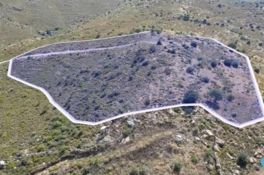 Bodrum Gümüşlük Dereköy'de Satılık Kooperatif Hissesi