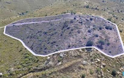 Bodrum Gümüşlük Dereköy'de Satılık Kooperatif Hissesi