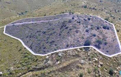Bodrum Gümüşlük Dereköy'de Satılık Kooperatif Hissesi