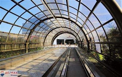 Vadistanbul Kiralık Ofis 450m2 Teraslı Orman Cephe Skyland Seba