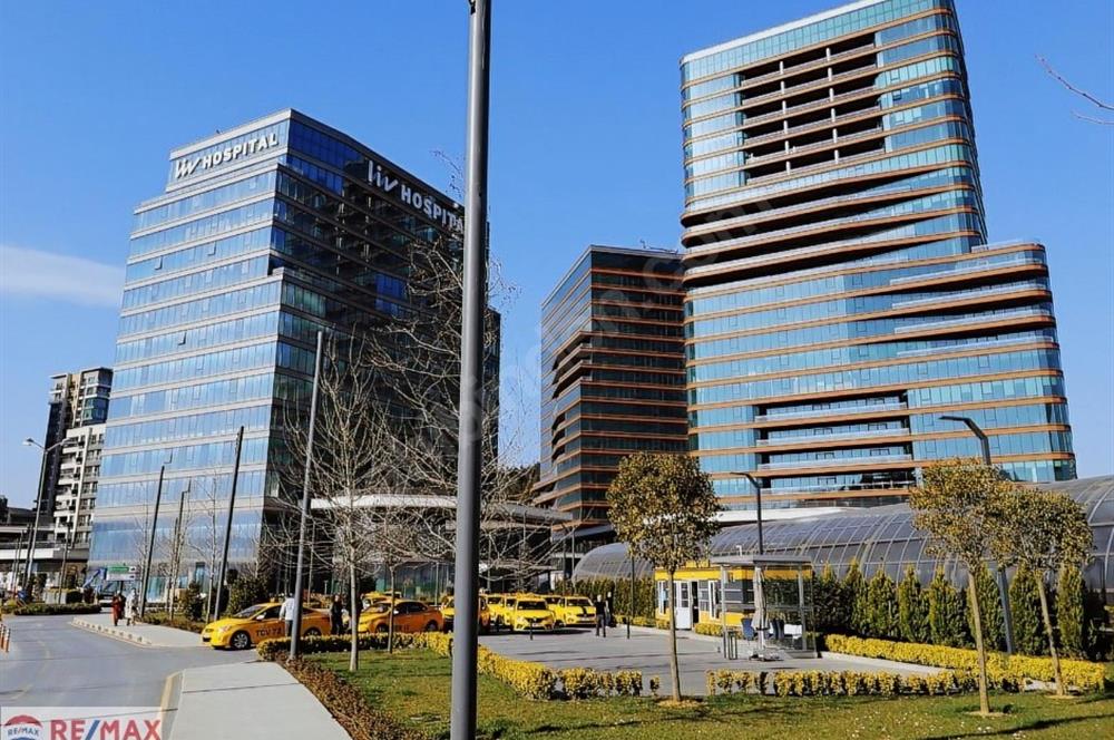 Vadistanbul Kiralık Ofis 450m2 Teraslı Orman Cephe Skyland Seba