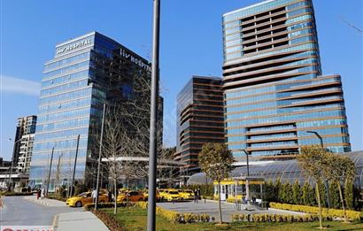 Vadistanbul Kiralık Ofis 450m2 Teraslı Orman Cephe Skyland Seba