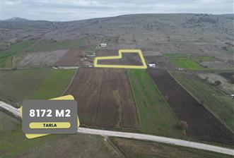 CENTURY21 BALDAN KARABEYLER/KARAKOL MAH. SATILIK TARLA