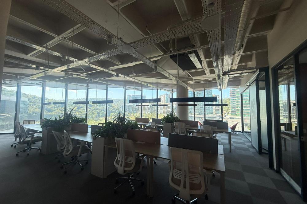 Vadistanbul Kiralık Ofis 991m2+100m2 Teraslı Eşyalı Ofis Skyland