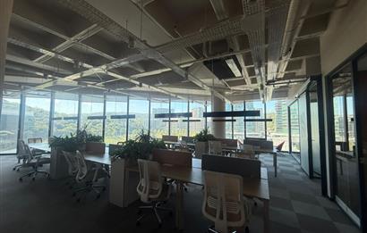 Vadistanbul Kiralık Ofis 991m2+100m2 Teraslı Eşyalı Ofis Skyland