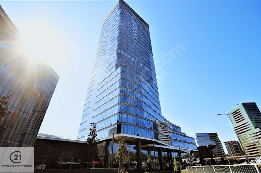 Vadistanbul Kiralık Ofis 682m2 Orman ve AVM Cepheli Plaza Katı