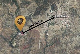 C21 LOCA’DAN HAVRAN’DA SATILIK ZEYTİNLİK