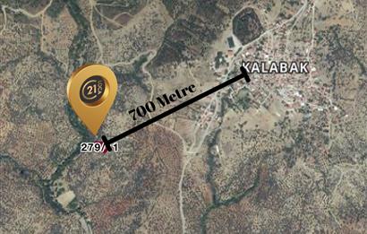 C21 LOCA’DAN HAVRAN’DA SATILIK ZEYTİNLİK