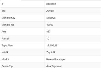 Ayvalık Sakarya Mahallesi Satılık Zeytinlik