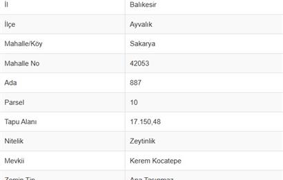 Ayvalık Sakarya Mahallesi Satılık Zeytinlik