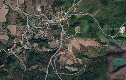YALOVA FEVZİYE DE KÖY MERKEZİNE 5 DK YÜRÜME MESAFESİNDE 3804 M2