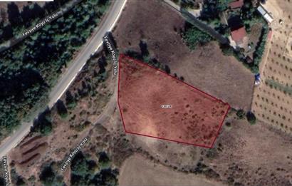 YALOVA FEVZİYE DE KÖY MERKEZİNE 5 DK YÜRÜME MESAFESİNDE 3804 M2