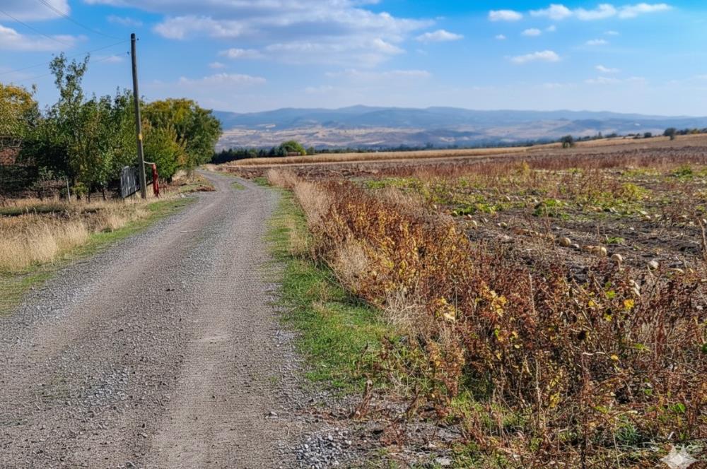 C21 LOCA’DAN KAHRAMANKAZAN’DA SATILIK TARLA