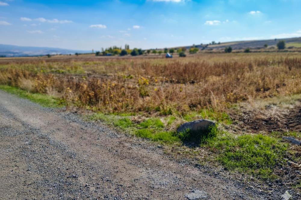C21 LOCA’DAN KAHRAMANKAZAN’DA SATILIK TARLA