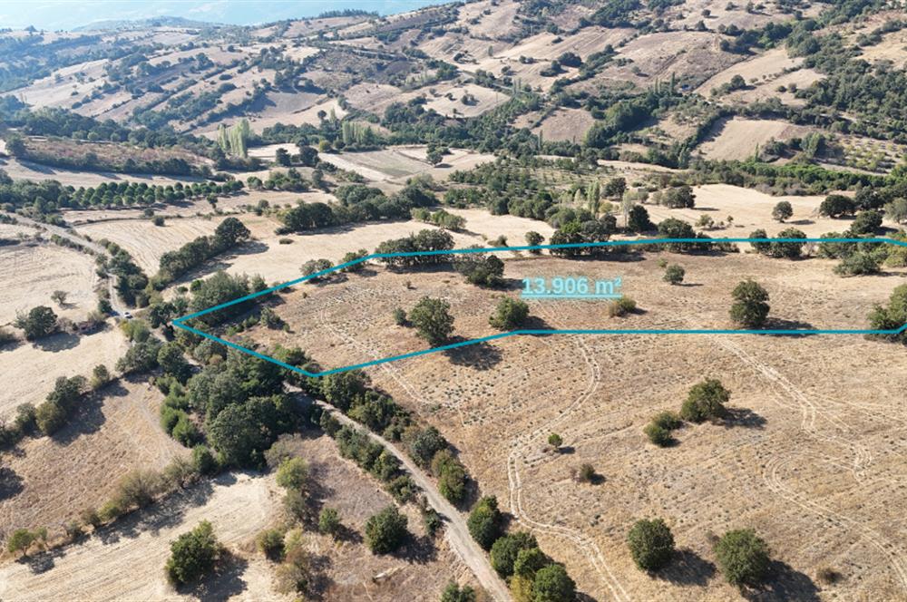 C21 WİNNER ÖRENHARMAN'DA 13.906m² SATILIK TARLA