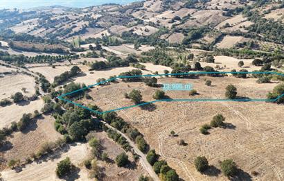 C21 WİNNER ÖRENHARMAN'DA 13.906m² SATILIK TARLA