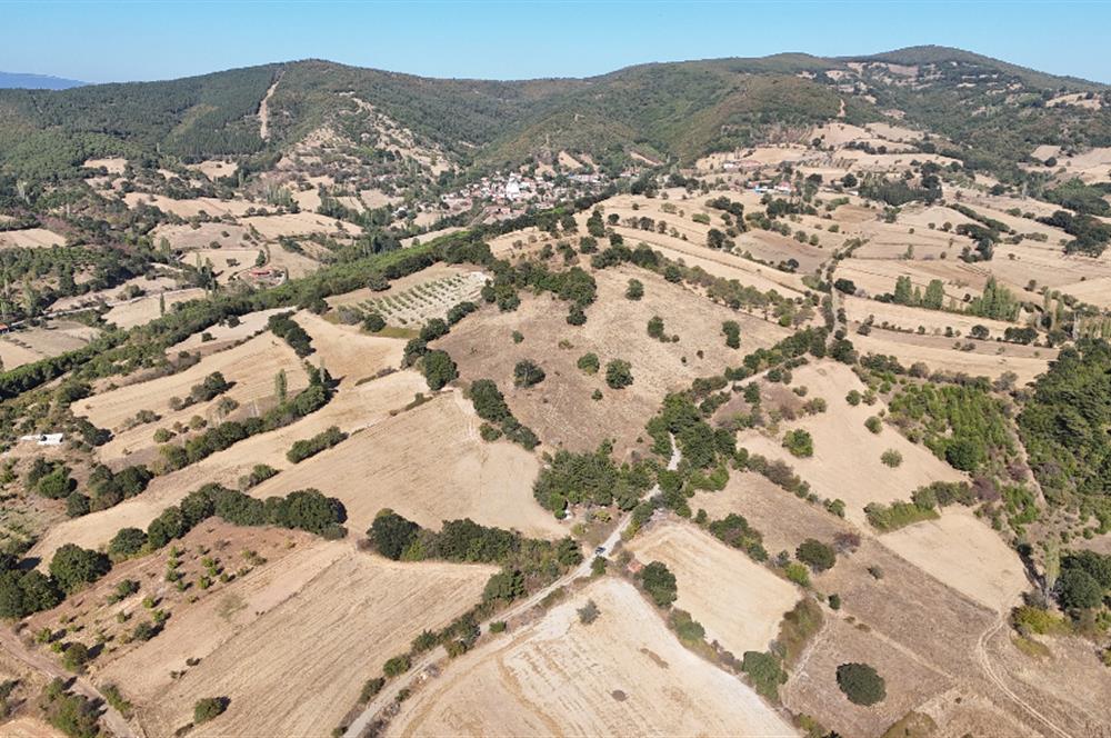 C21 WİNNER ÖRENHARMAN'DA 13.906m² SATILIK TARLA