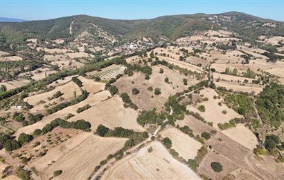 C21 WİNNER ÖRENHARMAN'DA 13.906m² SATILIK TARLA