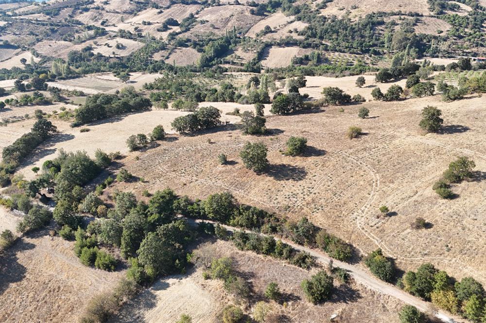 C21 WİNNER ÖRENHARMAN'DA 13.906m² SATILIK TARLA