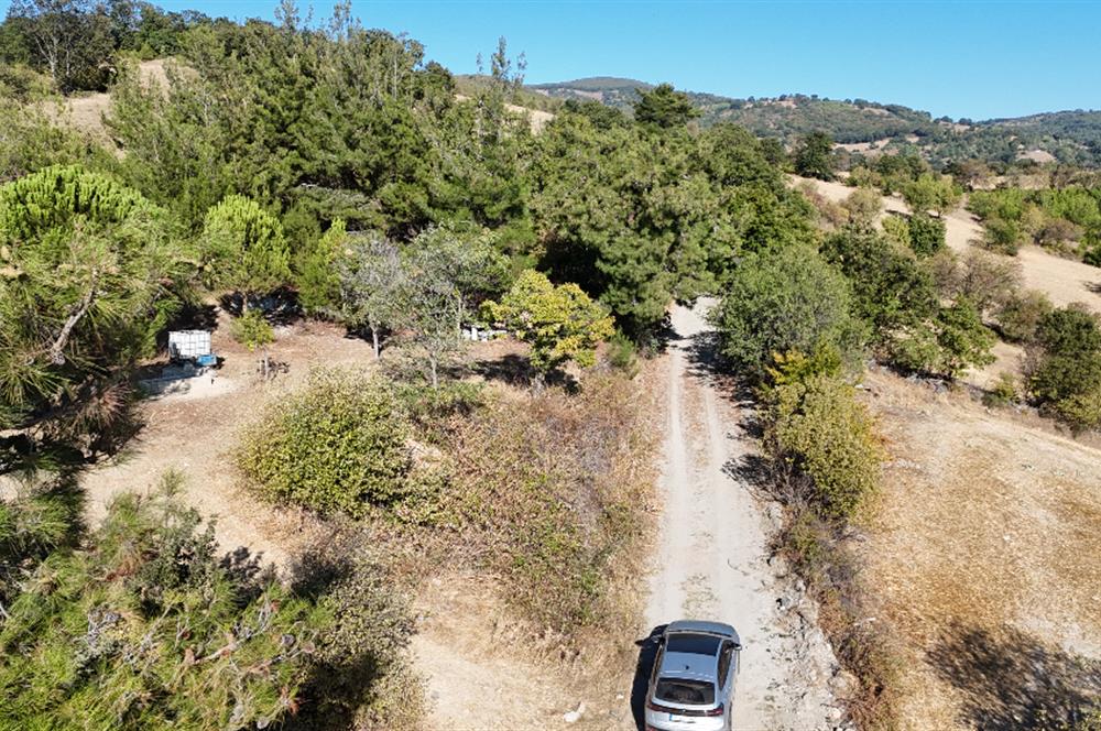 C21 WİNNER ÖRENHARMAN'DA 13.906m² SATILIK TARLA