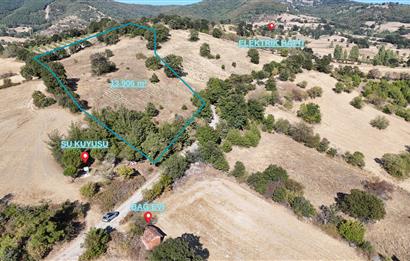 C21 WİNNER ÖRENHARMAN'DA 13.906m² SATILIK TARLA