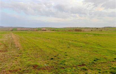 BALIKESİR NAİPLİ'DE YATIRIM FIRSATI 1546 M2 TARLA!