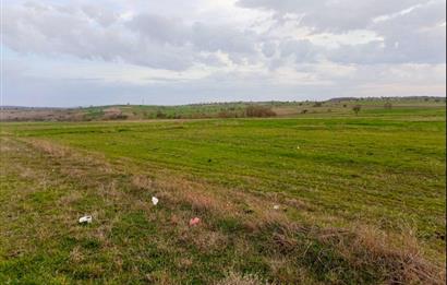 BALIKESİR NAİPLİ'DE YATIRIM FIRSATI 1546 M2 TARLA!