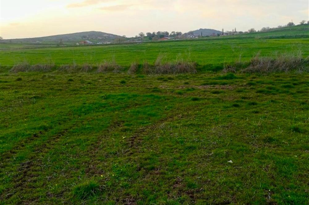 BALIKESİR NAİPLİ'DE YATIRIM FIRSATI 1546 M2 TARLA!