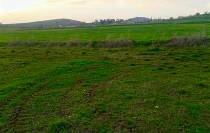BALIKESİR NAİPLİ'DE YATIRIM FIRSATI 1546 M2 TARLA!