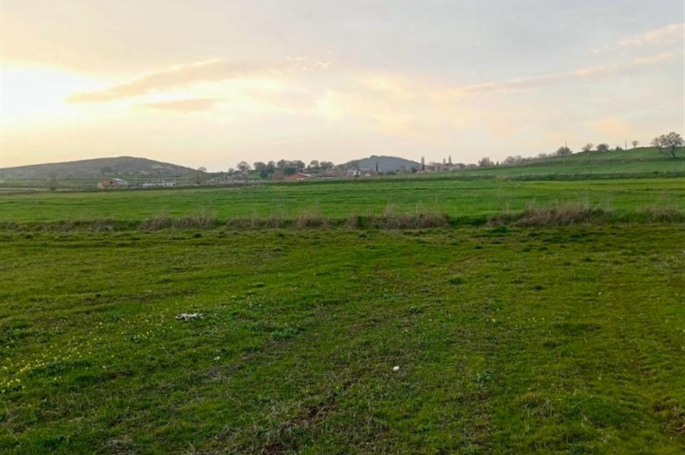 BALIKESİR NAİPLİ'DE YATIRIM FIRSATI 1546 M2 TARLA!