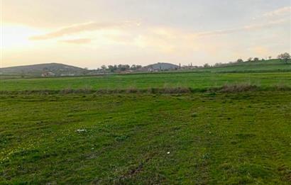 BALIKESİR NAİPLİ'DE YATIRIM FIRSATI 1546 M2 TARLA!