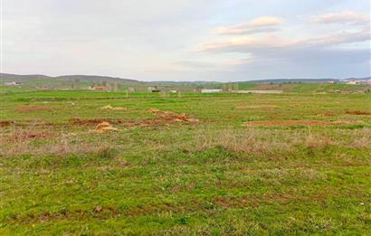 BALIKESİR NAİPLİ'DE YATIRIM FIRSATI 1546 M2 TARLA!