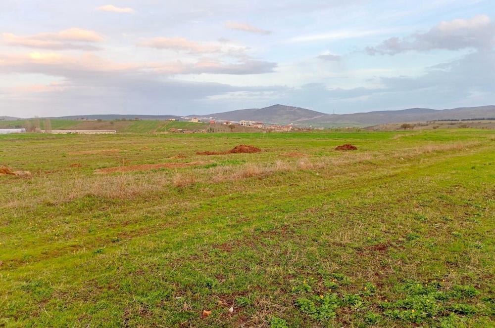 BALIKESİR NAİPLİ'DE YATIRIM FIRSATI 1546 M2 TARLA!