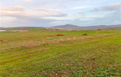 BALIKESİR NAİPLİ'DE YATIRIM FIRSATI 1546 M2 TARLA!