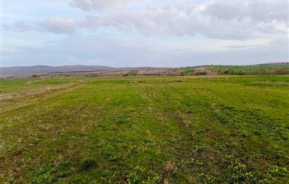 BALIKESİR NAİPLİ'DE YATIRIM FIRSATI 1546 M2 TARLA!