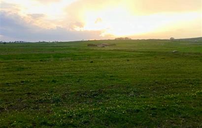 BALIKESİR NAİPLİ'DE YATIRIM FIRSATI 1546 M2 TARLA!