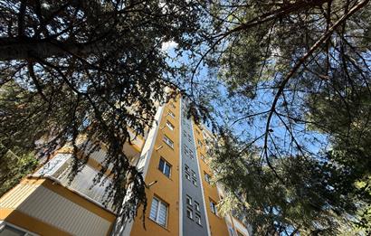 Kağıthane Başak Konutları 2+1 Ara kat Manzaralı Kiralık Daire