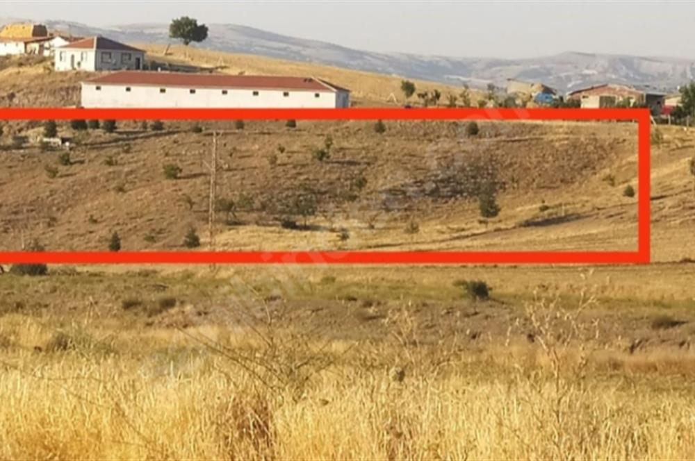 POLATLI DA SU, YOL, ELEKTRİK, BARAJ BÖLGESİNDE TEK TAPU SATILIK