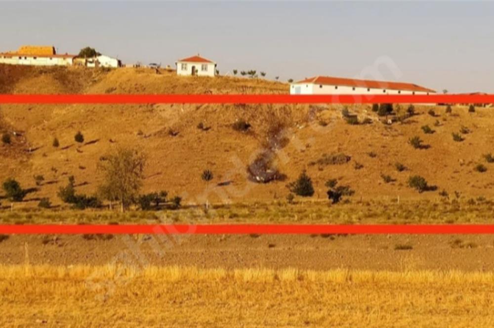 POLATLI DA SU, YOL, ELEKTRİK, BARAJ BÖLGESİNDE TEK TAPU SATILIK