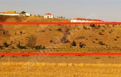 POLATLI DA SU, YOL, ELEKTRİK, BARAJ BÖLGESİNDE TEK TAPU SATILIK