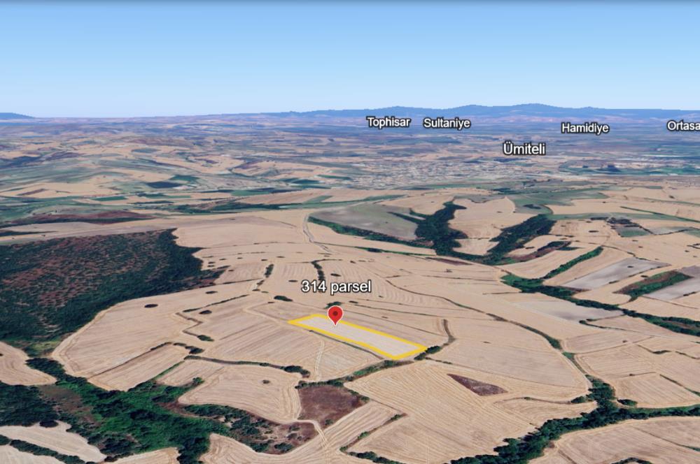 C21 BAL'DAN BALIKESİR/SUSURLUK/YAĞCIKÖY// 9100 M2 SATILIK TARLA