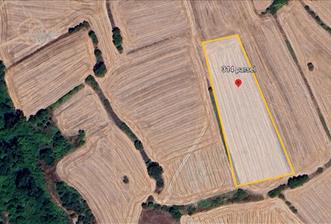 C21 BAL'DAN BALIKESİR/SUSURLUK/YAĞCIKÖY// 9100 M2 SATILIK TARLA - 4 - 29065