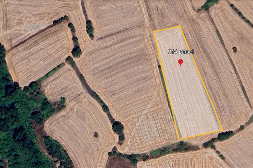 C21 BAL'DAN BALIKESİR/SUSURLUK/YAĞCIKÖY// 9100 M2 SATILIK TARLA