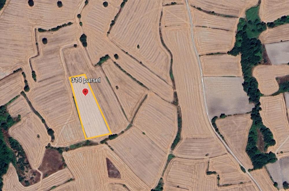 C21 BAL'DAN BALIKESİR/SUSURLUK/YAĞCIKÖY// 9100 M2 SATILIK TARLA