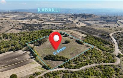 C21 WİNNER BALIKESİR CİNGE'DE 11.919m² SATILIK TARLA