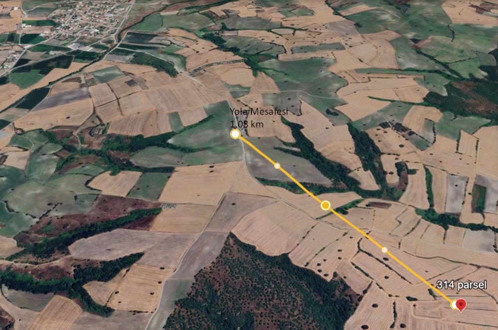 C21 BAL'DAN BALIKESİR/SUSURLUK/YAĞCIKÖY// 9100 M2 SATILIK TARLA