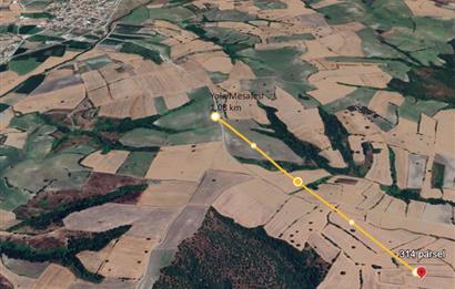 C21 BAL'DAN BALIKESİR/SUSURLUK/YAĞCIKÖY// 9100 M2 SATILIK TARLA